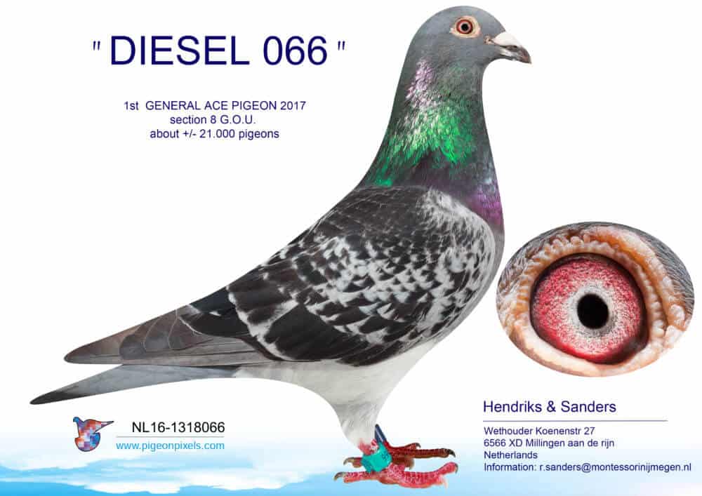 DIESEL 066